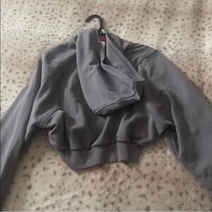 ALO Yoga Gray Cropped Hoodie